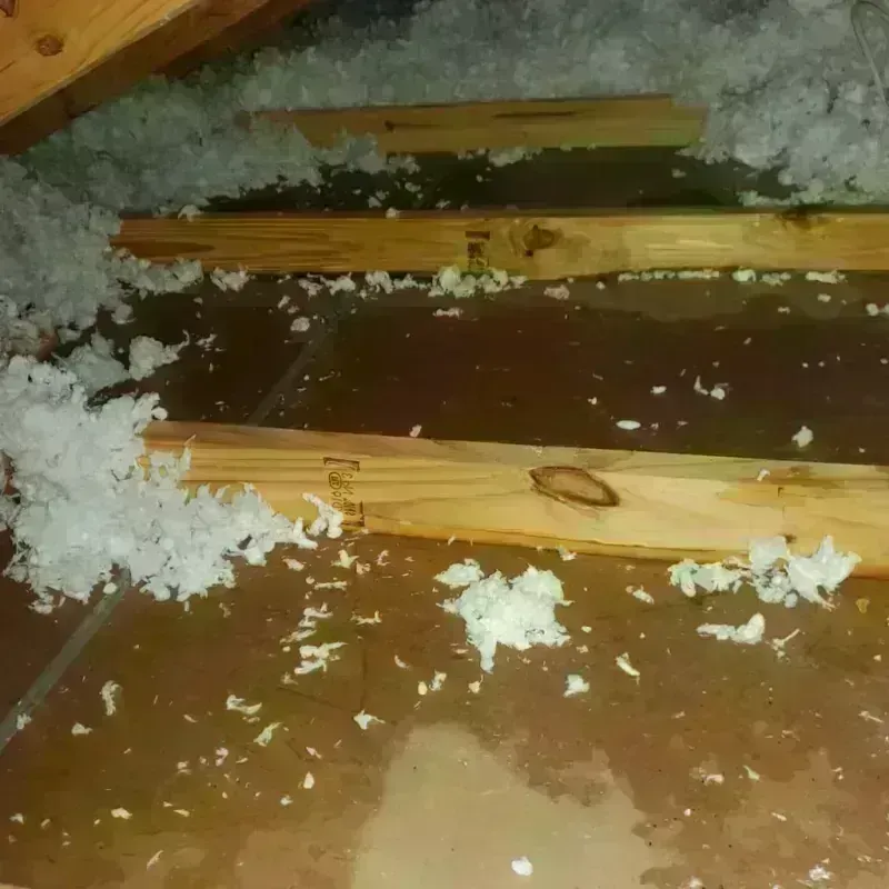 Attic Water Damage in Birch Run, MI