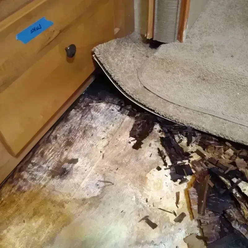 Wood Floor Water Damage in Birch Run, MI